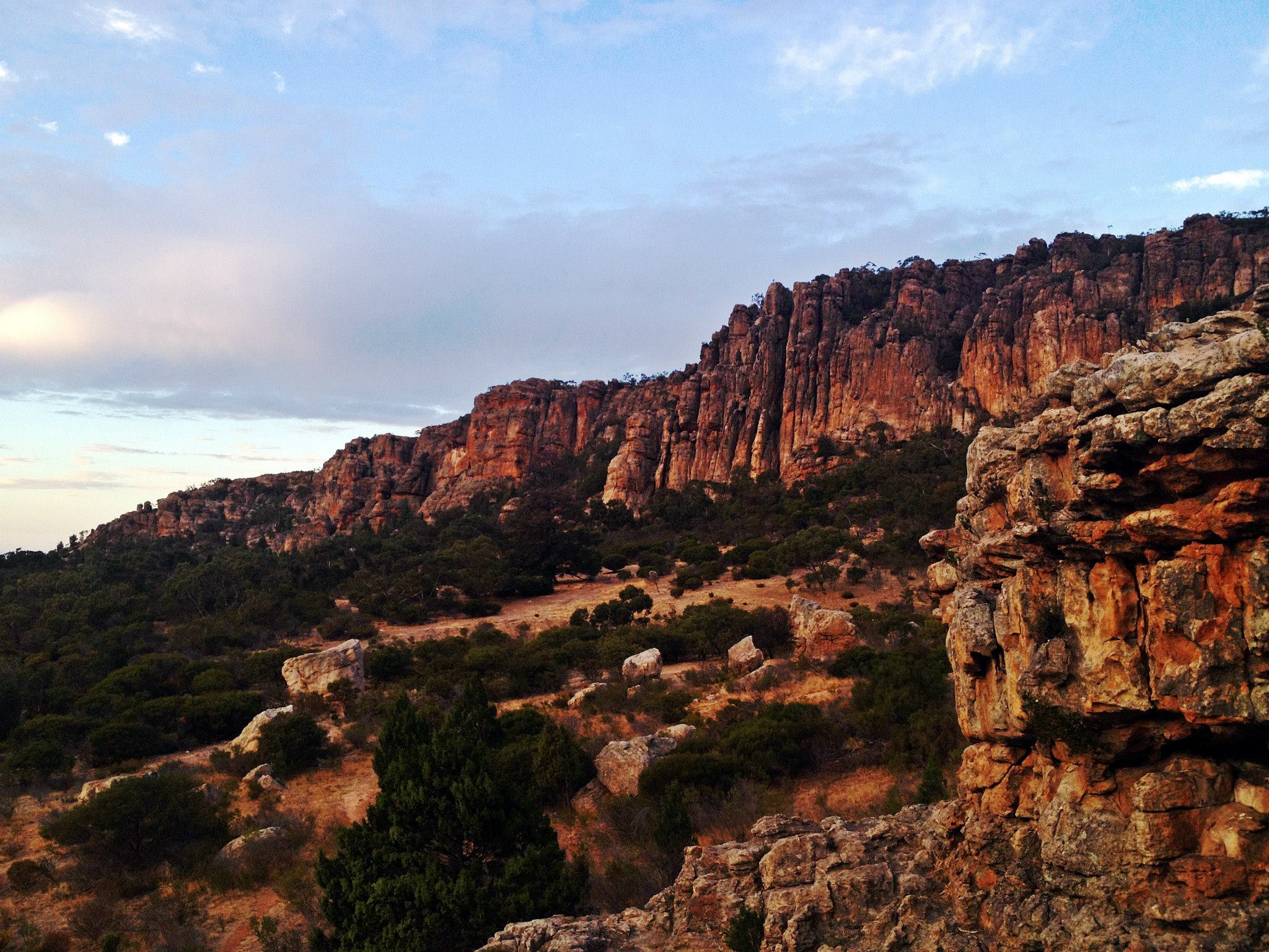 10010185 10153985974190106 911764618 o